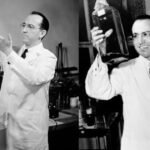 Photos of Jonas Edward Salk