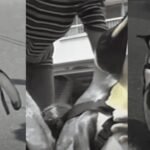 Images of Lala, the king penguin